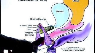 How to make a girl squirt? The ultimate cumshot tutorial by Mr PussyLicking!