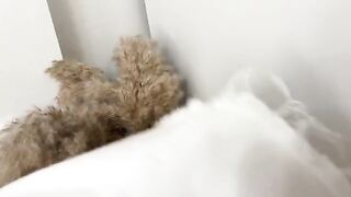 He smelled her wet panties and fucked curvy babe in pussy