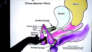 How to squirt? The ultimate guide by Mr. PussyLicking, the king of cunilingus!