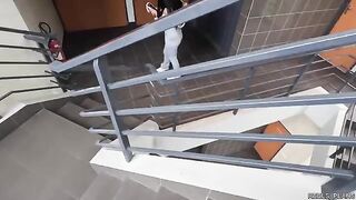 Fake agents fucked Chilean model with perfect ass in elevator
