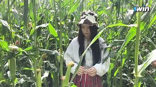 Security guard caught a thief in the cornfield and fined her on the spot for trespassing