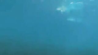 A group of sexy aqualangists have a hot sex party at the bottom of the sea