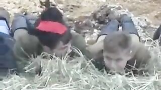 Brought the heifer to the barn and fucked her in the hay, a rough ride