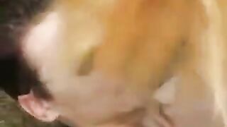 Bare blowjob with a skinny blonde teen in the dogpark - Part 1