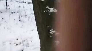 The guy tried to freeze his dick and pussy with time
