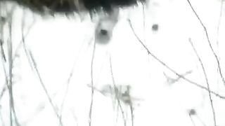 Winter blowjob on the street, enjoy public sex with me