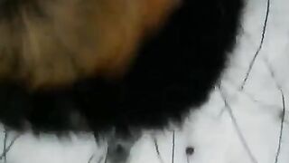 Winter blowjob on the street, enjoy public sex with me