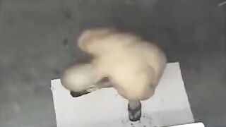 A naked man was spotted in the shower by a hidden camera