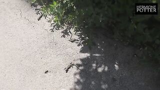 A young girl got fucked on a new sofa in a new country