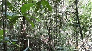 A breath of fresh air and her warm lips on my cock in POV