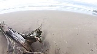 The beach is always damp — from the water and because of their passion