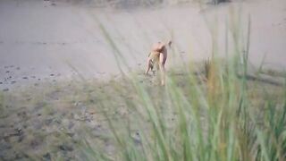 A stranger picked up a girl at the nude beach and fucked her hard